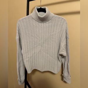 Express Turtle Neck Sweater